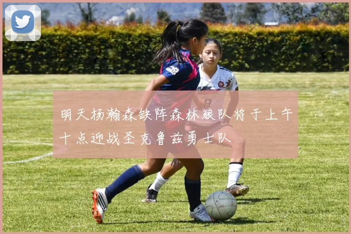 明天杨瀚森缺阵森林狼队将于上午十点迎战圣克鲁兹勇士队
