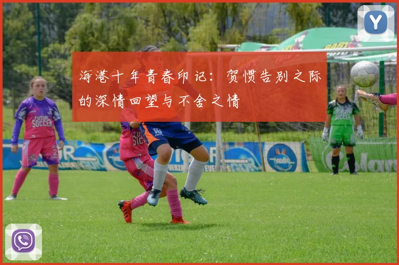 海港十年青春印记：贺惯告别之际的深情回望与不舍之情