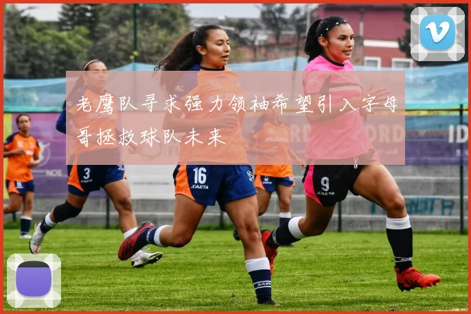 老鹰队寻求强力领袖希望引入字母哥拯救球队未来