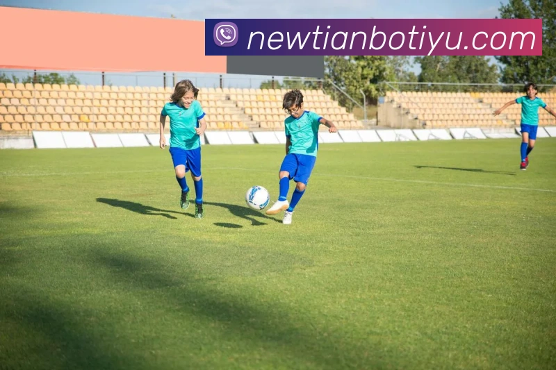 天博体育平台生态图